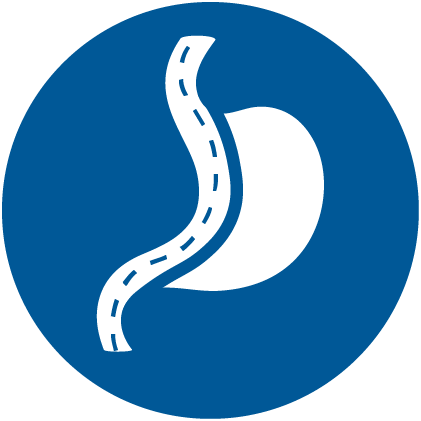 mini gastric 01 01